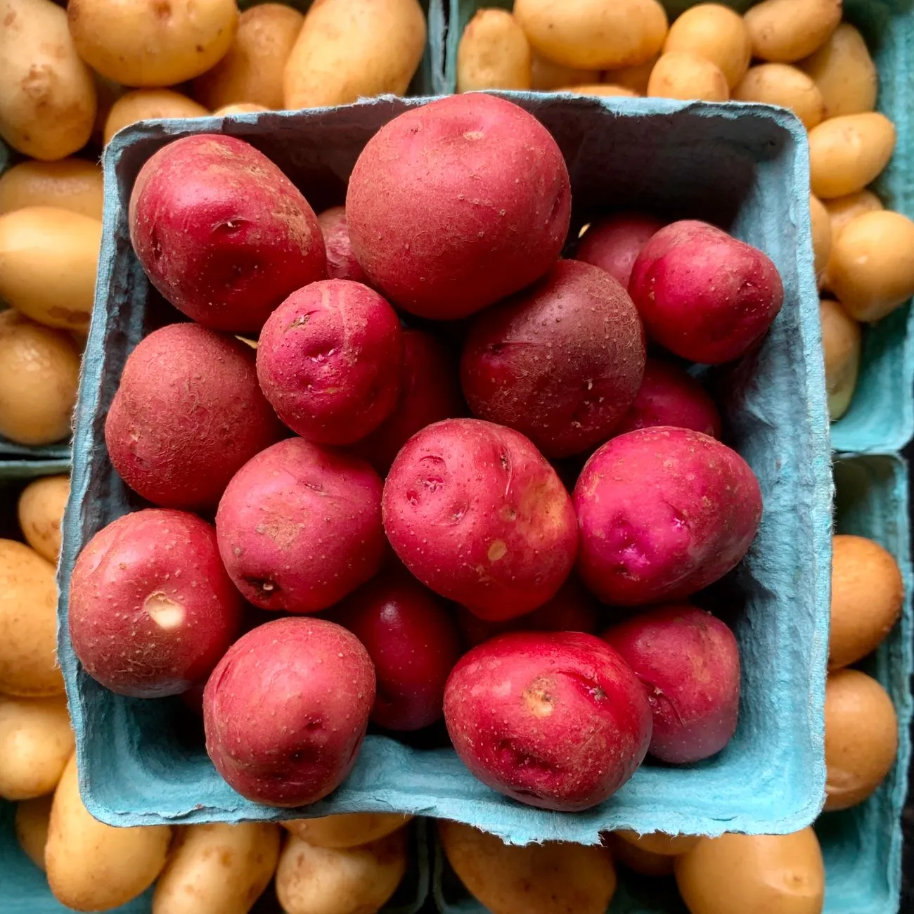 Kleurrijke selectie van verse groenten en gezonde voedingssupplementen